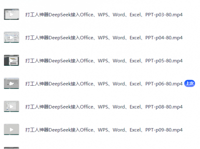 DeepSeek如何接入Office、WPS、Word、Excel、PPT（视频）
